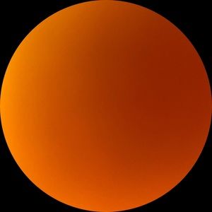 Meet your Posher, Zoe